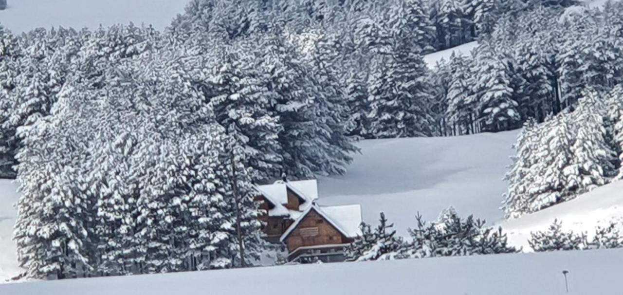 Tornik Studio Zlatibor Extérieur photo